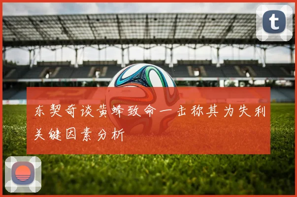 东契奇谈黄蜂致命一击称其为失利关键因素分析